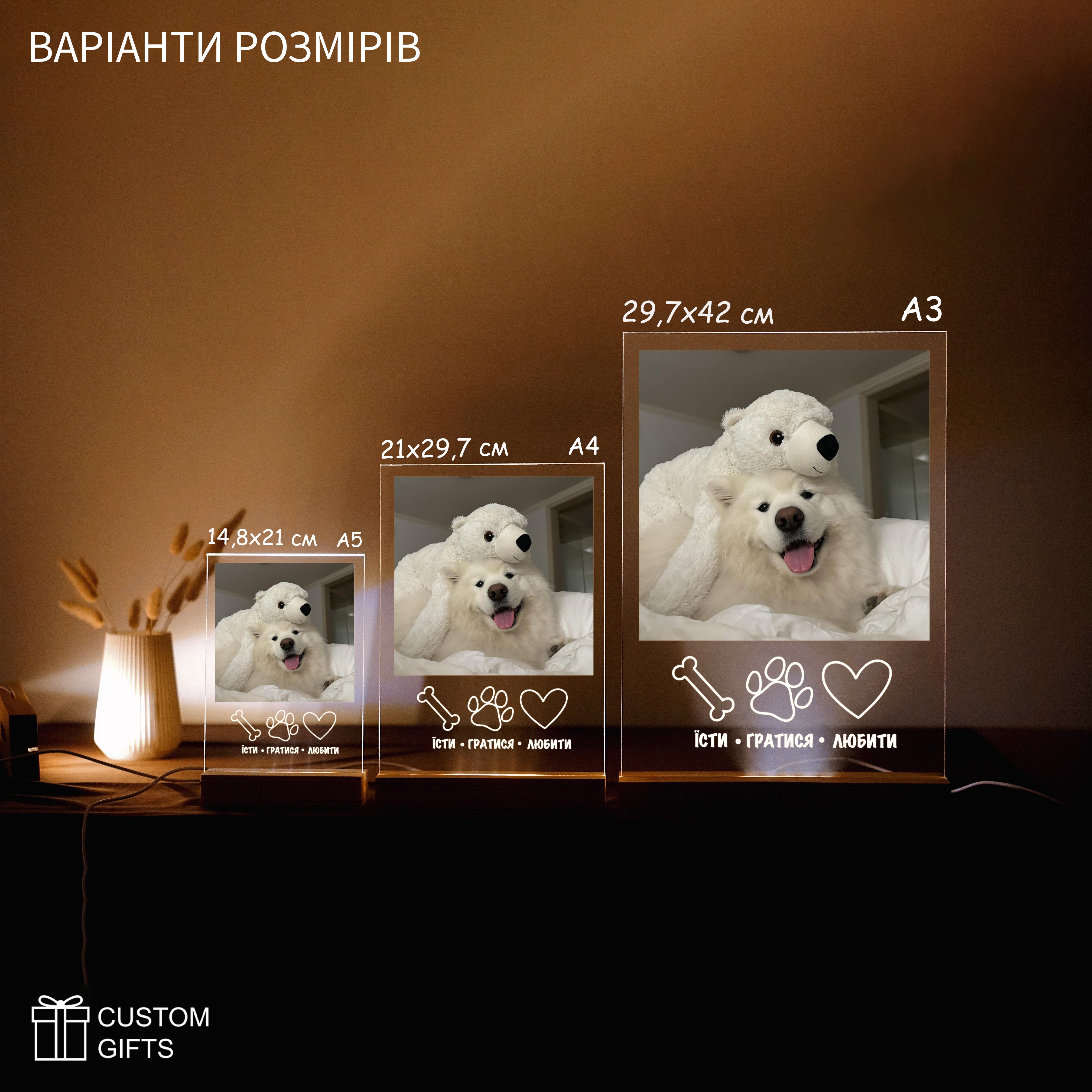 Photoposter з домашнім улюбленцем на подарунок
