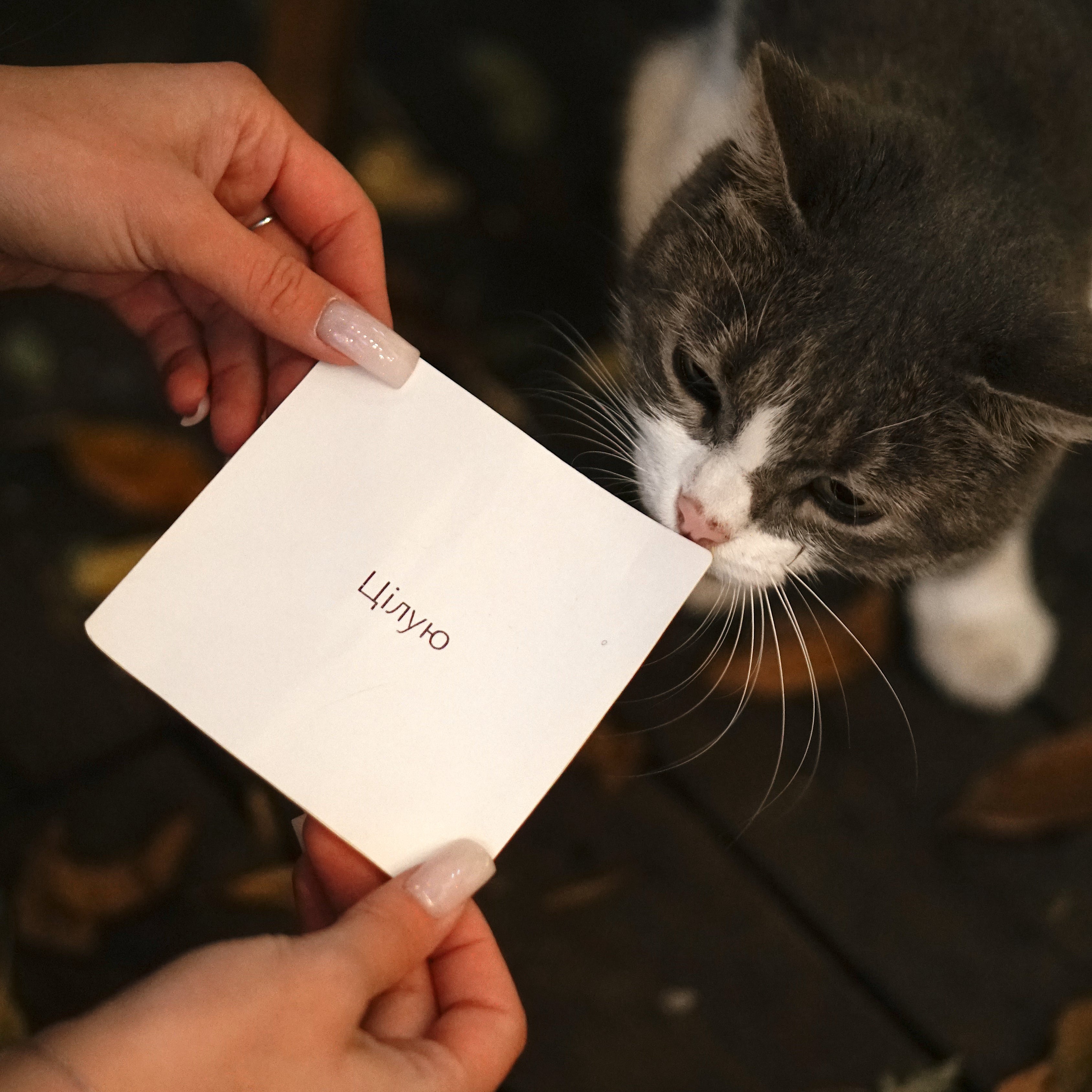 Стікер-записка